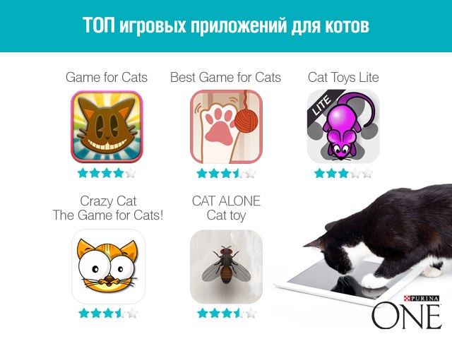 Лучшие игры и приложения для котов и кошек