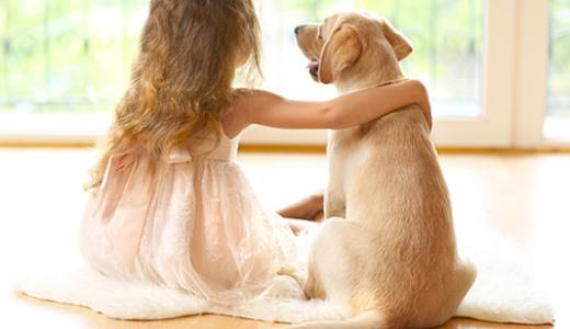 Какую собаку лучше завести для детей?