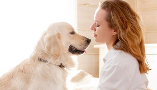 Почему собака лижет хозяина