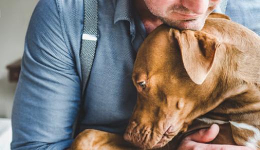 Глисты у собак