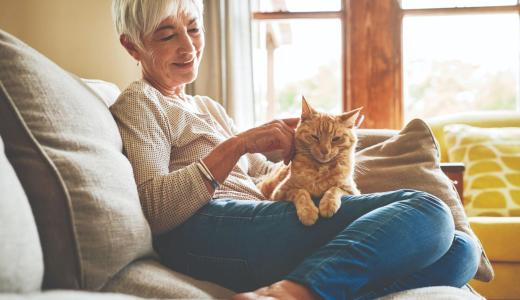 Кошка и хозяйка лежат на диване