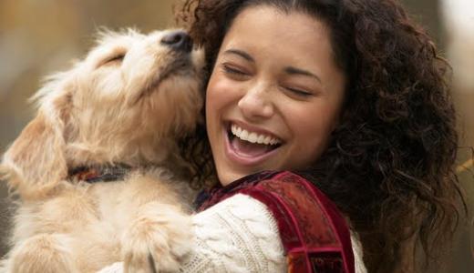 Как взять собаку из приюта