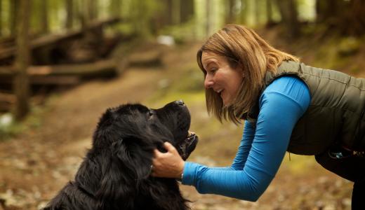 Хламидиоз у собак
