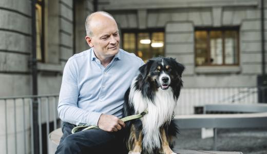 Пневмония у собак: симптомы и лечение