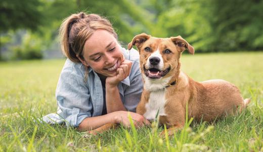 Правила содержания собак