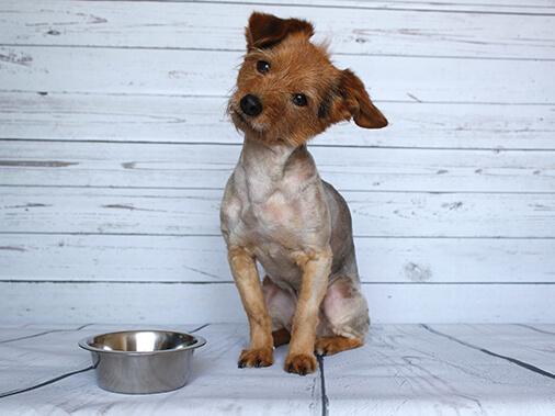 КАКОЙ ТИП ПИТАНИЯ ВЫБРАТЬ: БУФЕТНЫЙ ИЛИ ПОРЦИОННЫЙ?