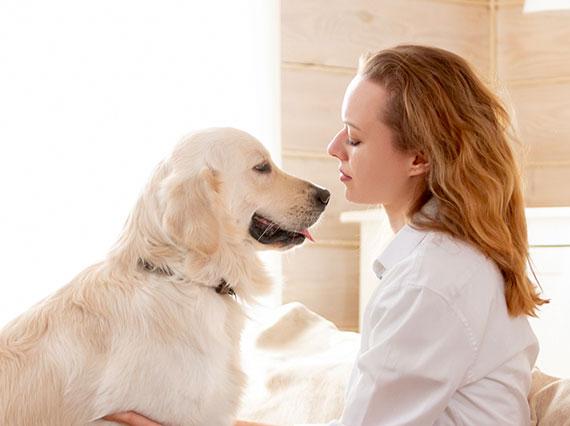 Почему собака лижет хозяина