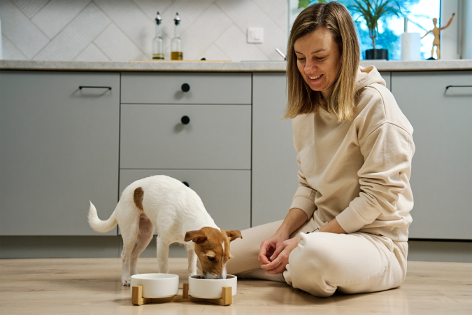 Как хранить корм для собак