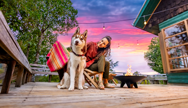 Почему собаки боятся салютов?