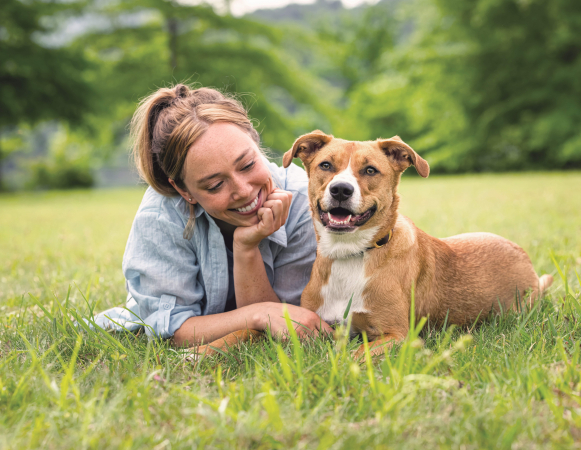 Правила содержания собак